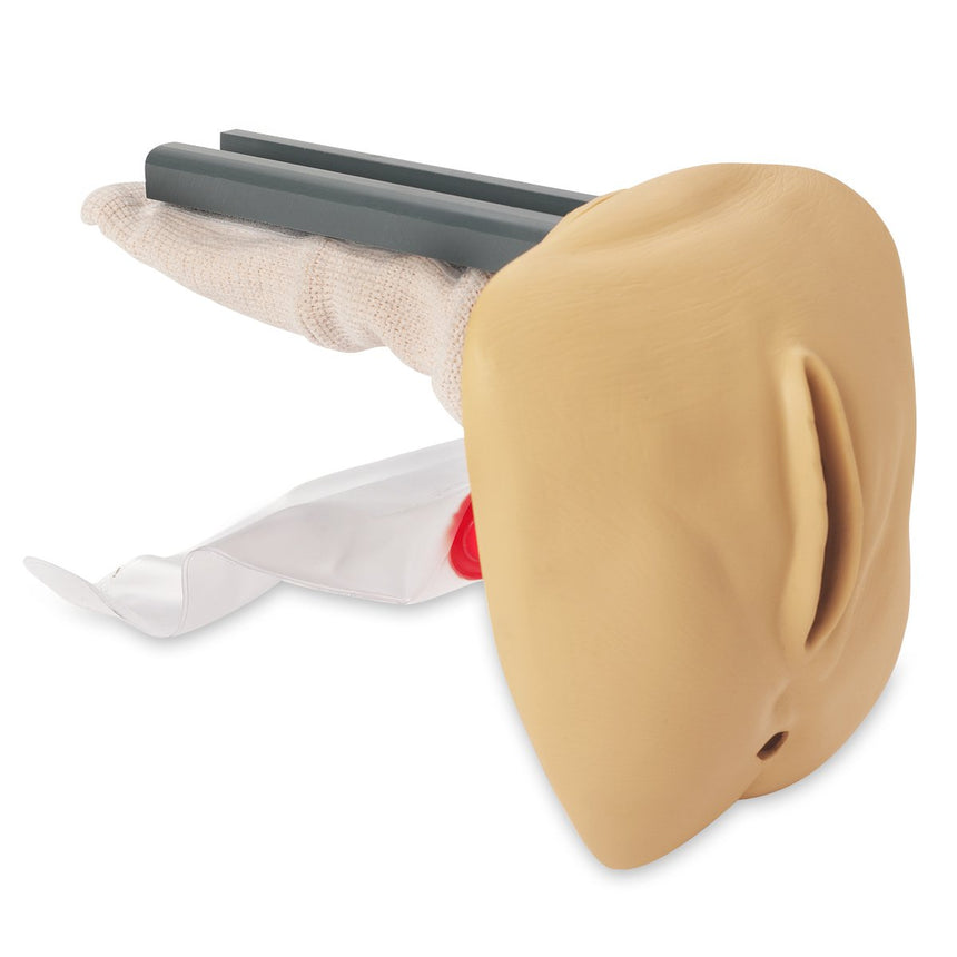 Life/Form Replacement Female Genitalia For GERi/KERi Complete, Advanced, And Auscultation Manikins-New Color