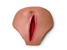 Load image into Gallery viewer, Laerdal Adult Wound Packing Belly Plate
