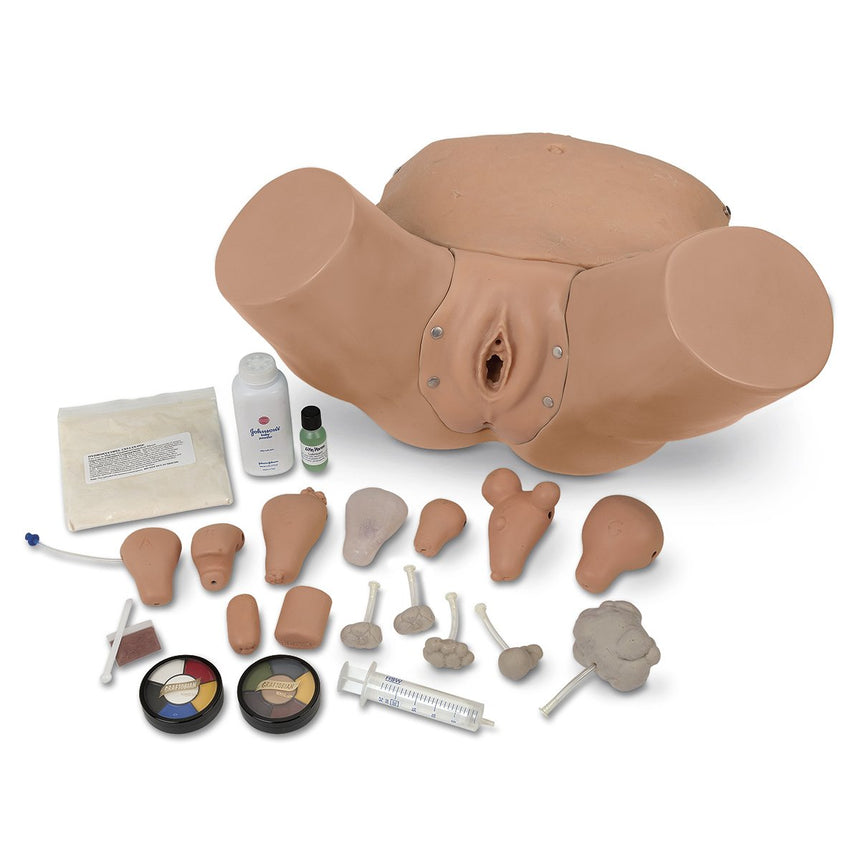 Life/Form® Advanced Pelvic Examination And Gynecological Simulator