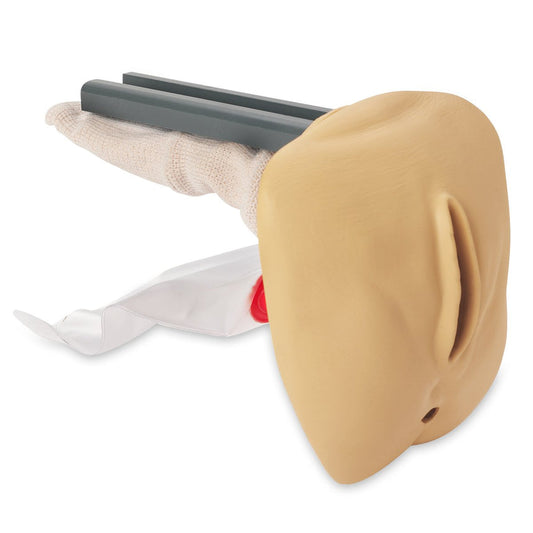 Life/Form Replacement Female Genitalia For GERi/KERi Complete, Advanced, And Auscultation Manikins-New Color