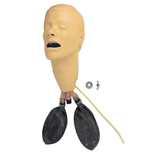 Laerdal Head Assembly, Intubation w/Lungs, Adult Male
