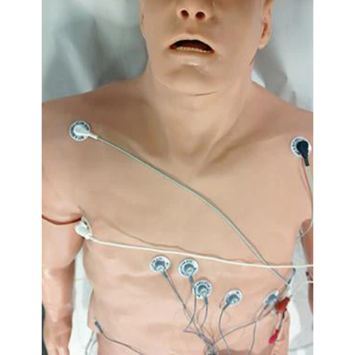 Simulaids Zoll 12-Lead Arrhythmia Simulator with Manikin Overlay large