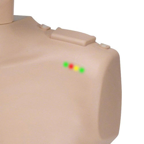 Adult CPR Manikins 4-Pack, Medium Skin by PRESTAN