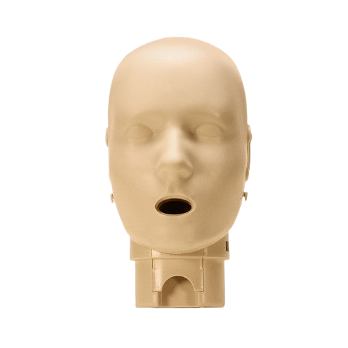 Head Assembly for the Prestan Professional Child Medium Skin Manikin