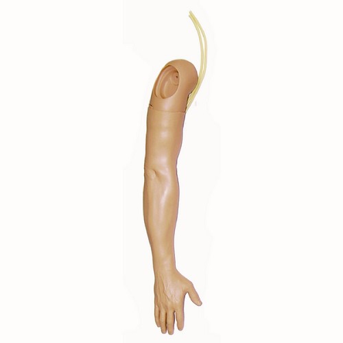 Laerdal Male Multi-Venous IV Training Arm
