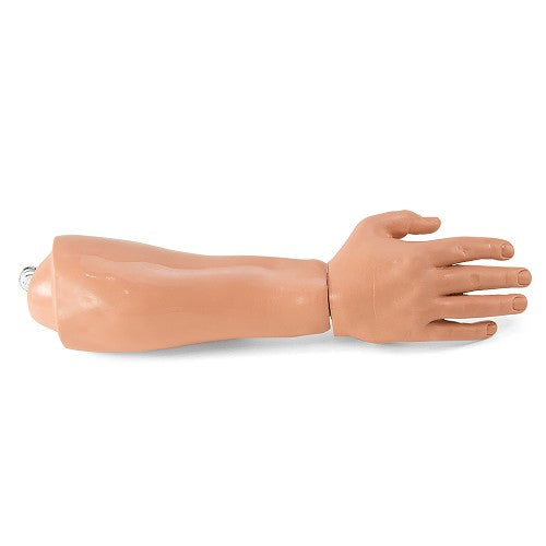 Simulaids Rescue Randy Large Body Replacement Lower Arm & Hand