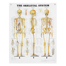 Load image into Gallery viewer, Peter Bachin Anatomical Systems Chart Set by Nasco
