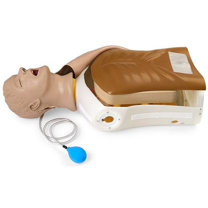 Life/Form Airway Larry AMT Torso