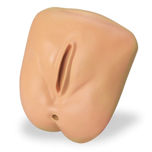Life/Form Replacement Genitalia For GERi/KERi Nursing Skills Manikin